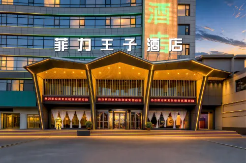 Prince Feili Yuncheng Hotel - romantici