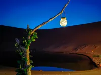 Zhongwei Yisha Xingyu Camping Base