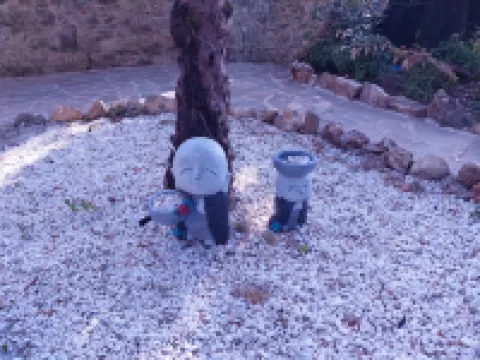 Fantastic Garden