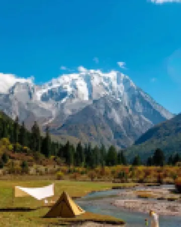 Laoxiong Home·Life Light Luxury Holiday Oxygen Supply Meisu