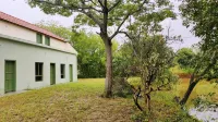 Chongming Musik Haus Resort Hotel - Bergblick