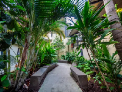 拜倫灣YHA 拜倫灣住宿飯店