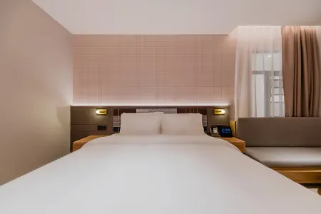 Homeinn Plus Hotel (Shanghai Wild Animal Park Huinan Subway Station)