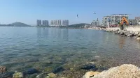 Shiyi Seaview Homestay (Dalian Lvshunkou Huafa New Town Branch) - pantai