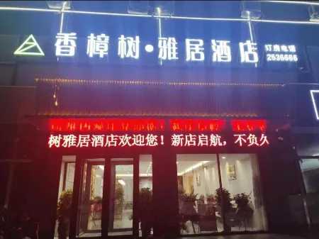 Xihua Camphor Tree Elegant Residence Hotel Отели рядом с достопримечательностью «Jizi Reading Platform»