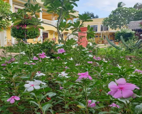 Hanbee's Resort Puerto Princesa Palawan فنادق مميّزة Photos