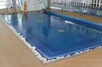 فندق بارك ريجيس بيزنس بيه - مسبح