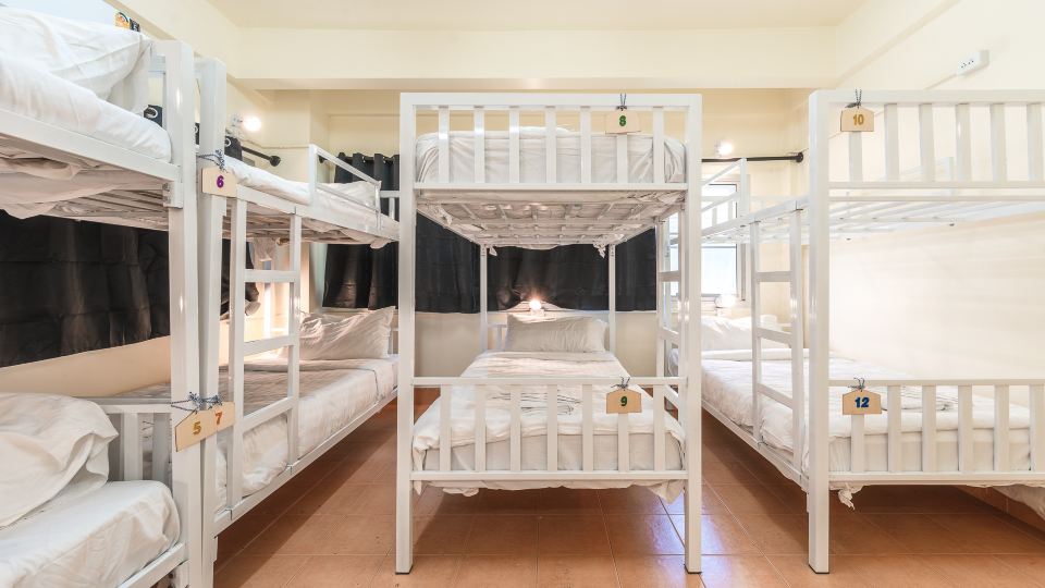 Beds Friends Phi Phi