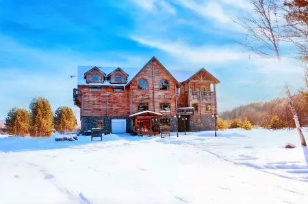 Igri wooden villa Отели рядом с достопримечательностью «White Birch Forest»