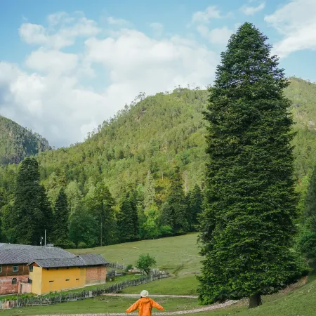 Lanping Shujiawu Township Luoguxuan Hiking Homestay