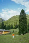 Lanping Shujiawu Township Luoguxuan Hiking Homestay - วิวภูเขา