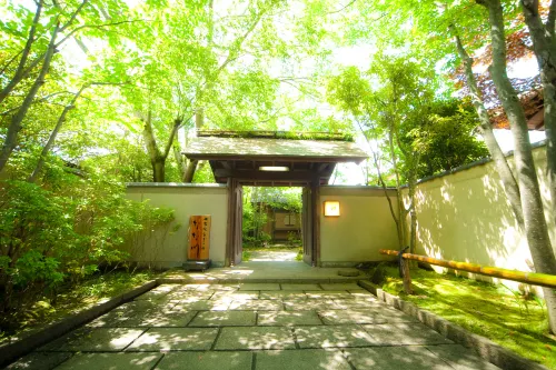 Ryotei Tanokura