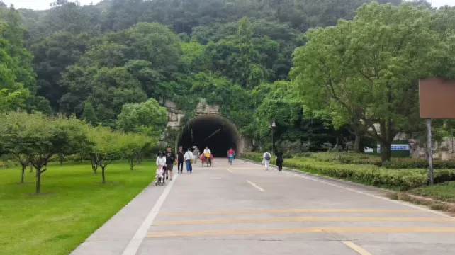 Lotus Sanctum · Pǔshū Aroma Haven