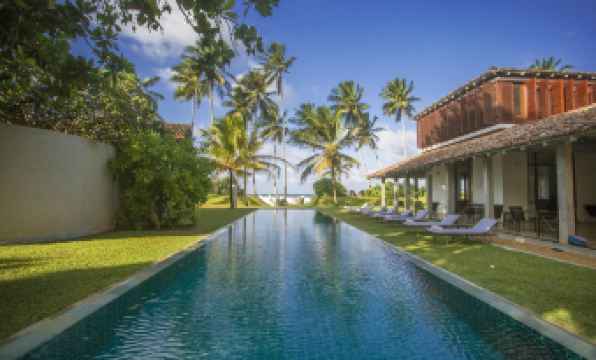 The Frangipani Tree by Edwards Collection - Thalpe