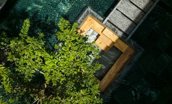 Dali Shuiyun College