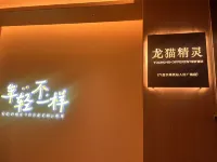 Dragon Cat Elf YOUNG • IS • DIFFERENT Design Hotel - Airport Shuttle