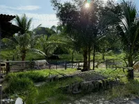 AL-REZQI ROOMSTAY Các khách sạn ở Pulau Kerengga