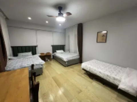 Huzi No.1 Party House