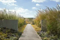 Phoenix Island - Romantic