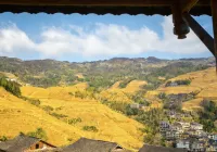 龍脊梯田金坑大寨丨一覽山禾飯店（千層天梯店）