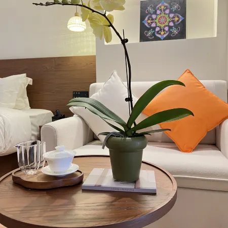 Songyue Meisu Hotel (Anshun Ancient City Historical & Cultural District Xintiandi Branch)