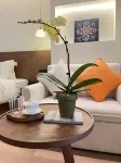 Songyue Meisu Hotel (Anshun Ancient City Historical & Cultural District Xintiandi Branch)