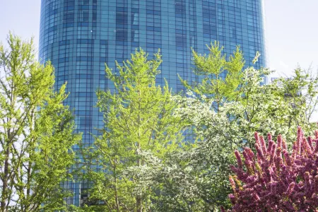The Ritz-Carlton Beijing Financial Street
