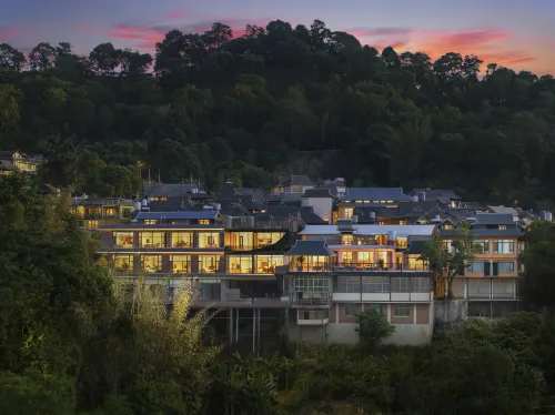 Yannan's Sea of Clouds · Mountain Residence (Jingmai Mountain Tea Forest Cultural Scenic Area)
