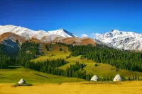 Nala Cloud-Herding Boutique Homestay - con vista montagne