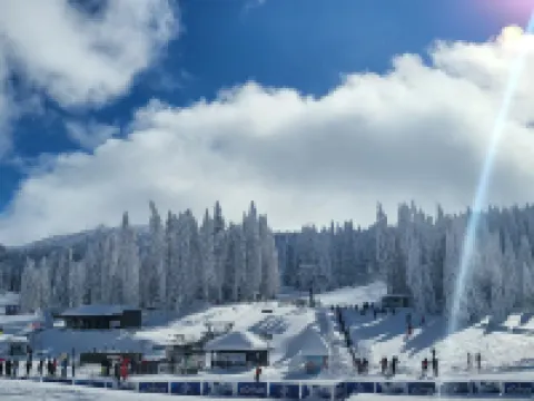 Aparthotel Woodside by Anaya Hotels in Municipality of Raska