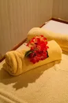 Bangi Resort Hotel - spa