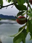 Xiantan Shiguang Homestay (Taohuatan Scenic Area) - 마운틴 뷰