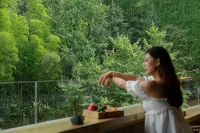 Zhaoxuan Homestay Hotels in Zhaogong Mountain Scenic Area