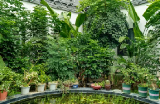 Pudding Yard, Sansu Temple Branch, Meishan