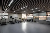 Vienna International Hotel (Shanwei Chengqu) - Gym