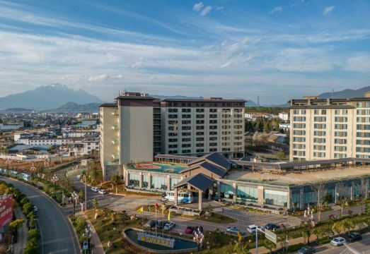 3. 차이주 홀리데이..