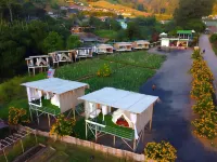 Ing Nuea Homestay Hotels in Mae Taeng District