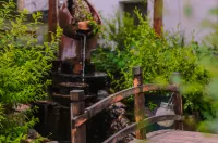 Jingmo Shanfang Homestay