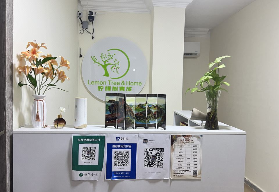 뉴 카이로 맛집