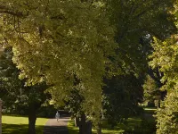 The Tasman, a Luxury Collection Hotel, Hobart Hotels in Hobart