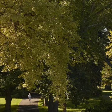 The Tasman, a Luxury Collection Hotel, Hobart