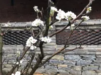 太子山居