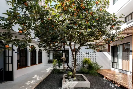 If Cloud Knows Homestay (Dali Ancient City Branch) Отели рядом с достопримечательностью «Shuangyuanxi»