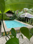 Ecostay Panglao Resort Hotel - Pools