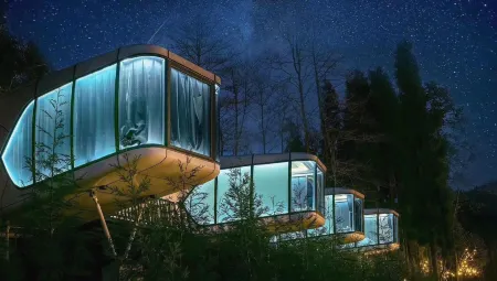 Panda‘s forest homestay