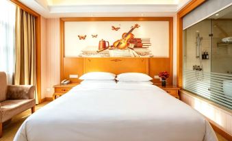Vienna International Hotel (Zhuzhou Railway Station Central Square Branch)