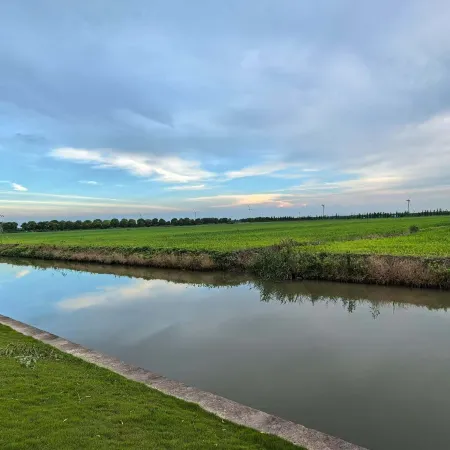 Chongming Island Jiangfan Yunju
