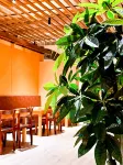 Grand Rezen Hotel Merryland Changshu - breakfast