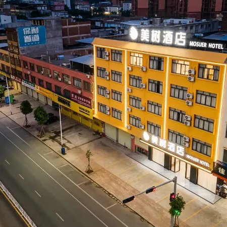 Fuyu Meishu Hotel