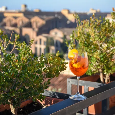 Diana Roof Garden
